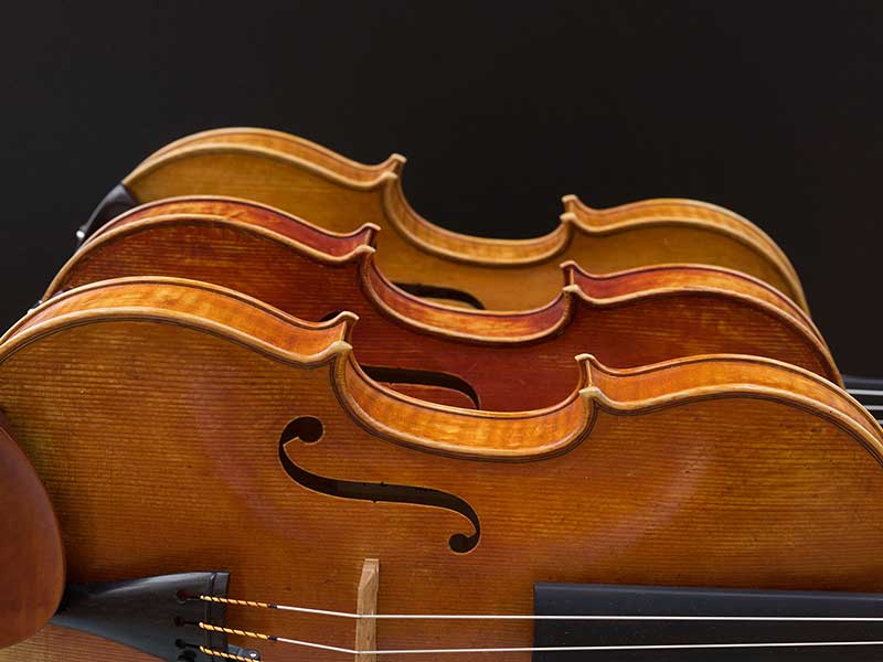 學中提琴有這么多優勢，為什么總是被黑